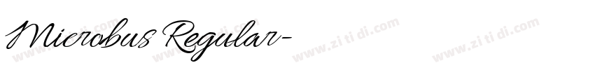 Microbus Regular字体转换
